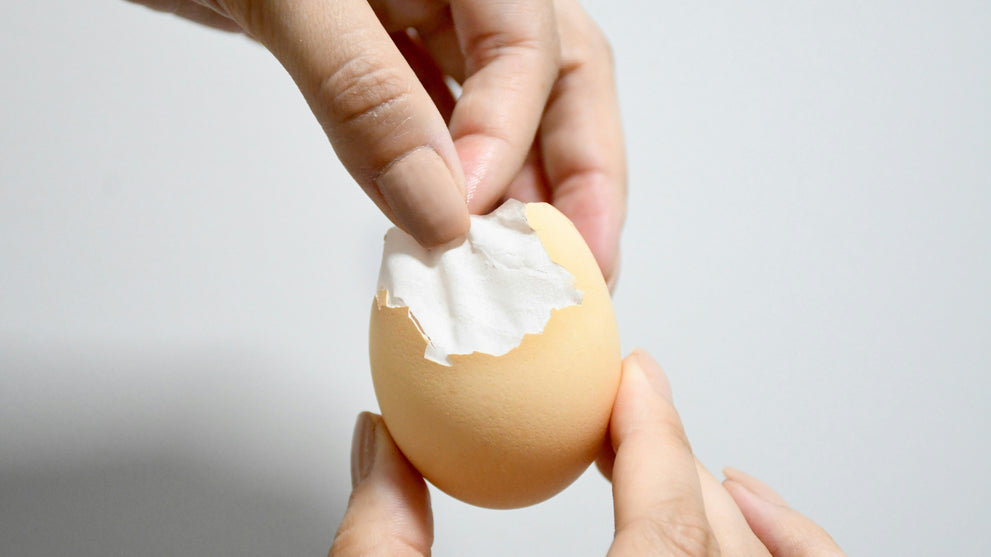 Eggshell Membrane Collagen: What It Is and How It's Different