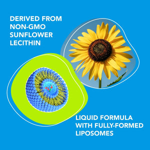 Premium Reduced Liposomal Glutathione (4oz) - The Body's Master Antioxidant Amandean