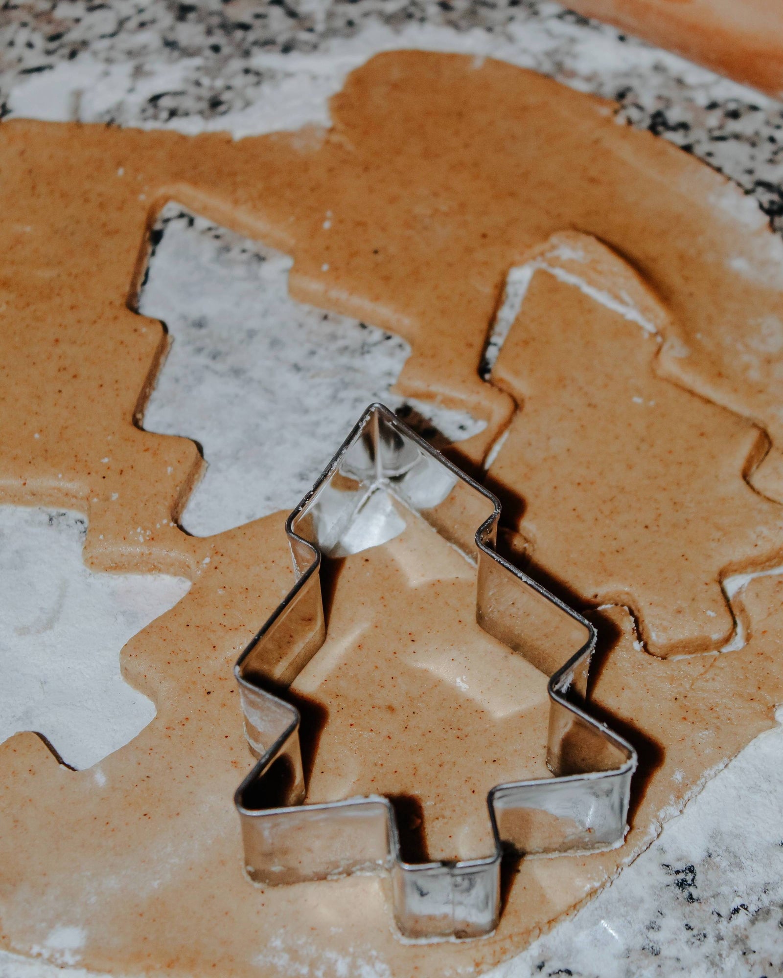 Healthy Gingerbread Cookies with Collagen Peptides: A Match Almost As Perfect As Collagen & Ginger