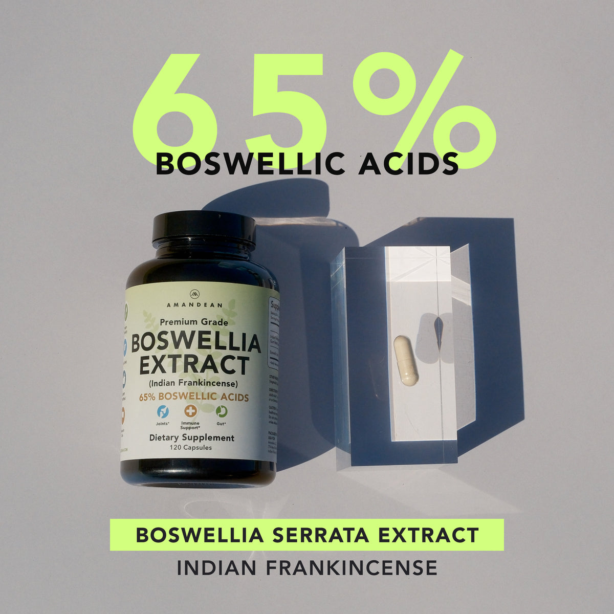 Premium Boswellia Serrata Extract (500mg)