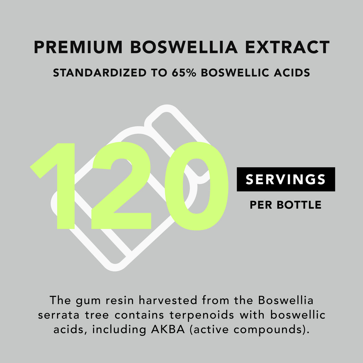 Premium Boswellia Serrata Extract (500mg)