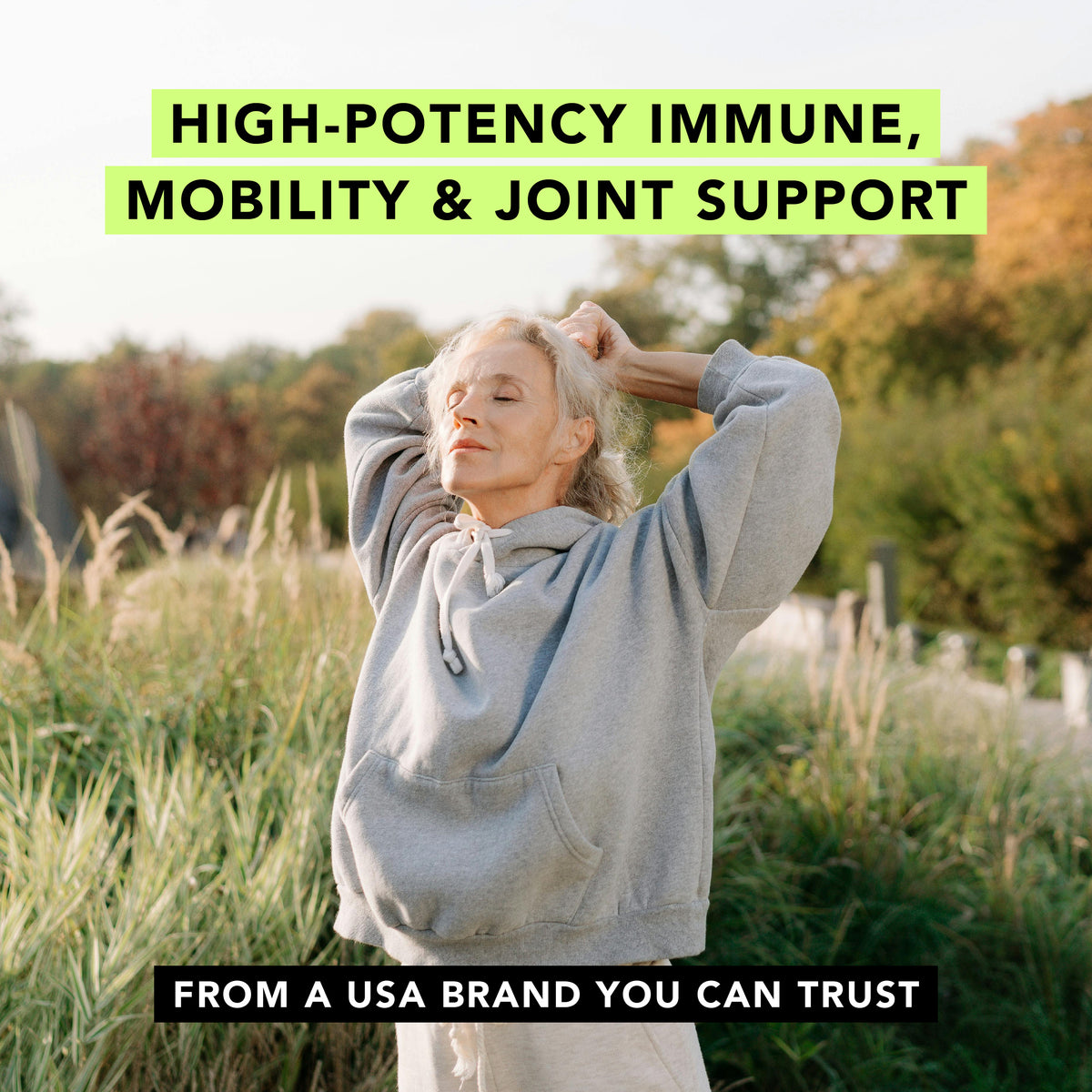 Premium Boswellia Serrata Extract (500mg)