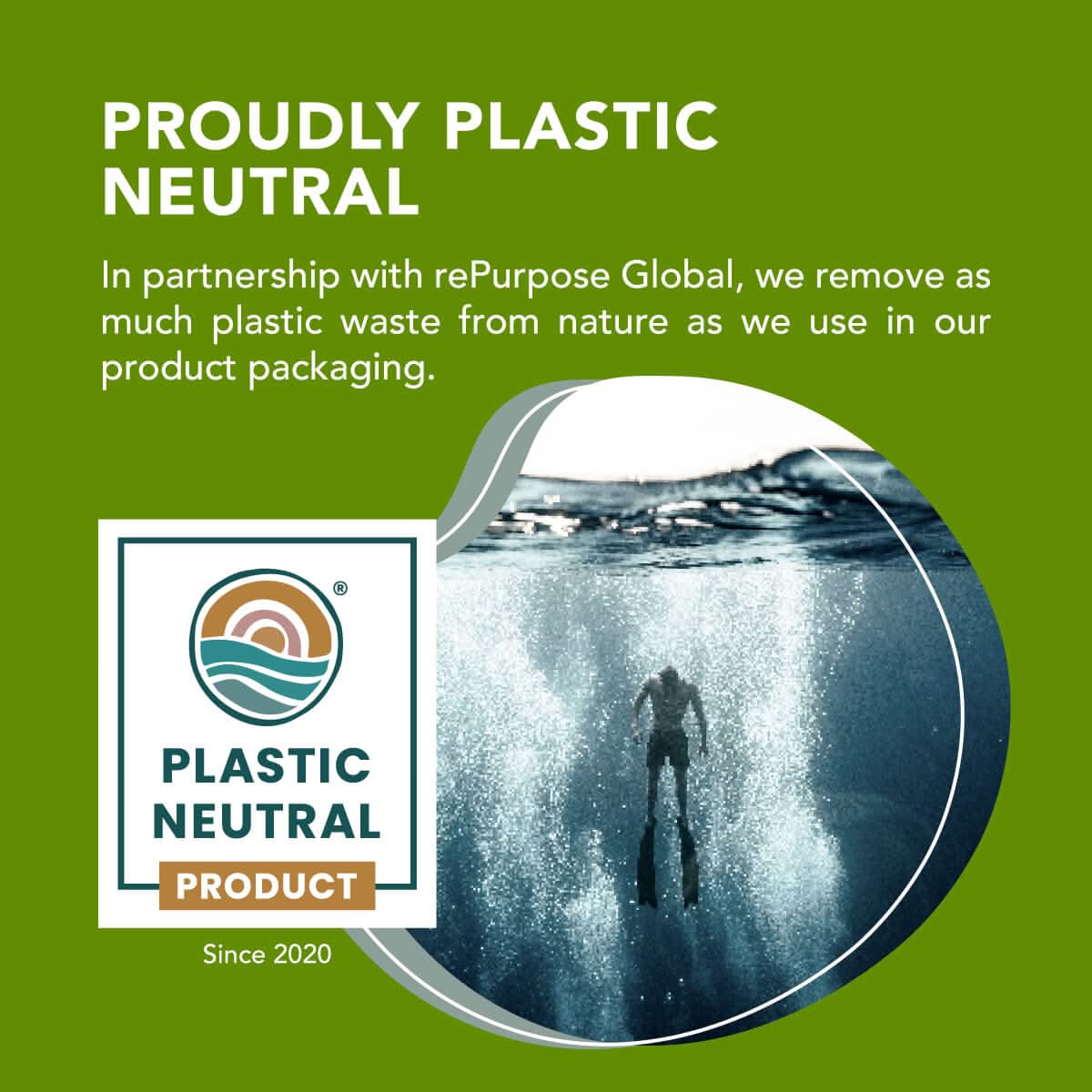 Premium Boswellia Serrata Extract (500mg) Boswellia Extract Amandean 