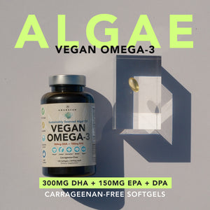 Vegan Omega-3 (DHA + EPA) 500mg Capsules Amandean 120 count
